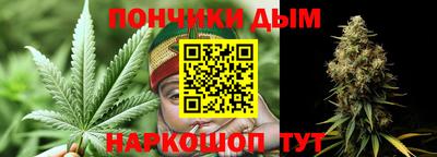 гидра Боровичи
