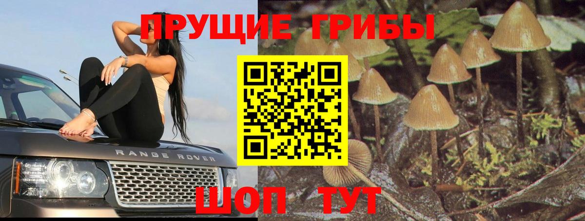 Галлюциногенные грибы Magic Shrooms  хочу   Вход с VPN  Архангельск  Галлюциногенные грибы мицелий 