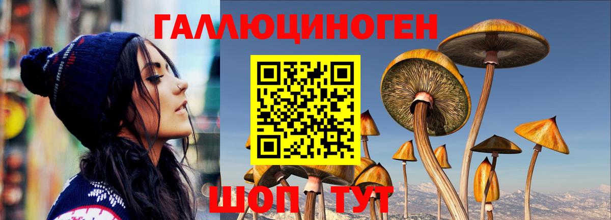 Галлюциногенные грибы прущие грибы Архангельск